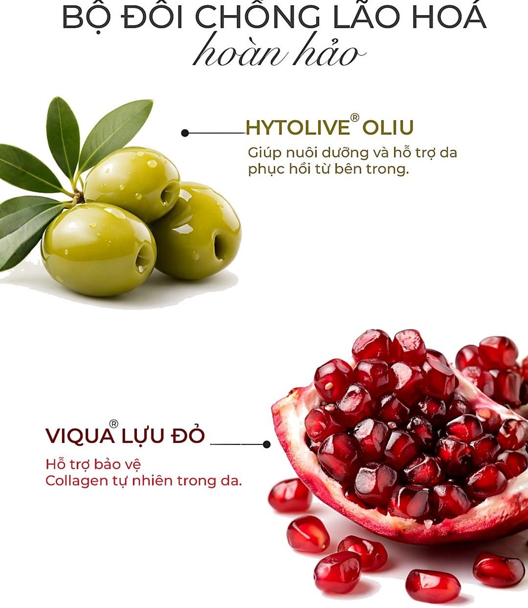 Bộ đôi chống lão hoá HYTOLIVE và VIQUA